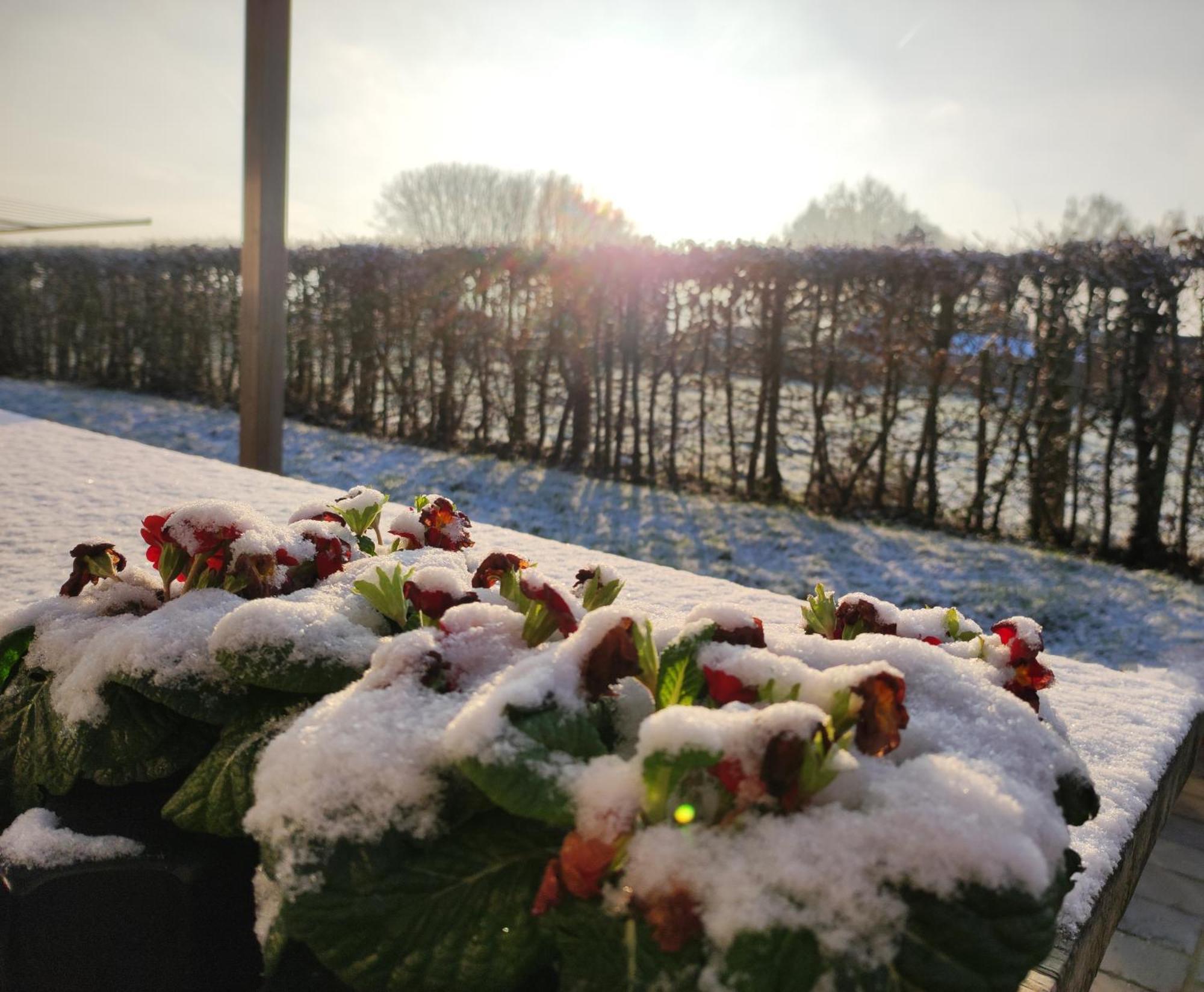 Cote Campagne Bed and Breakfast Houthem Exteriör bild