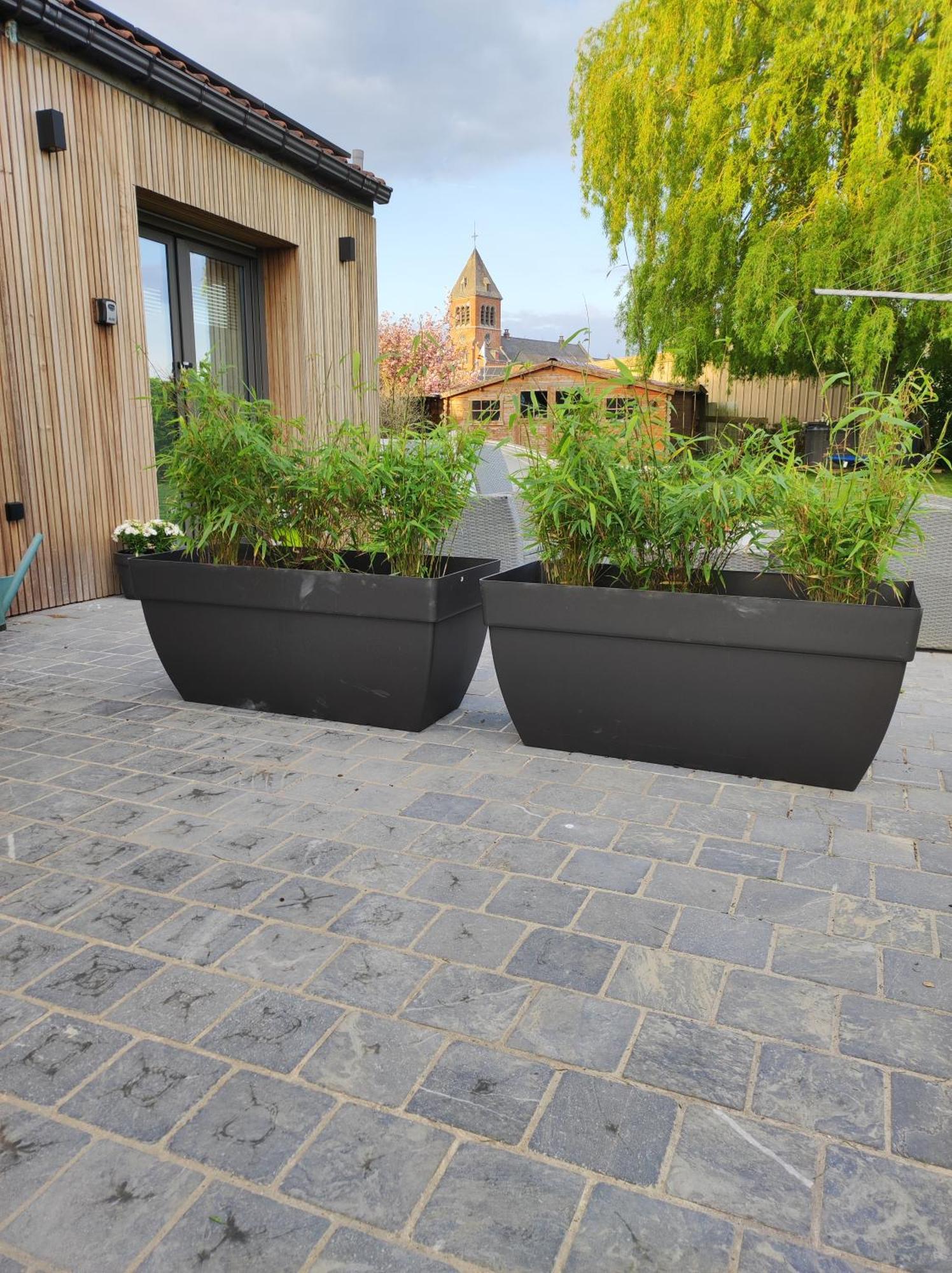 Cote Campagne Bed and Breakfast Houthem Exteriör bild